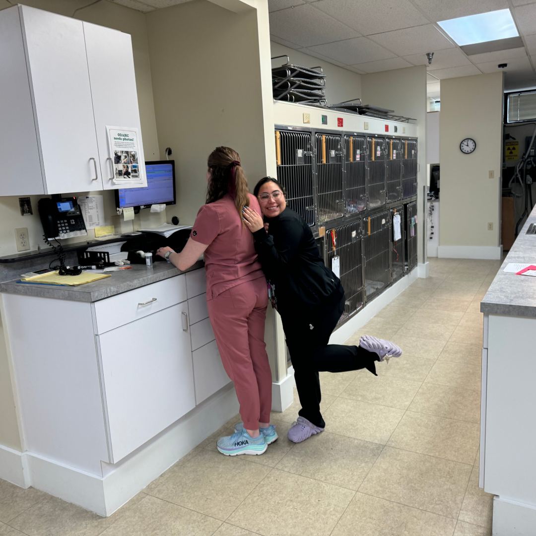 Two female vet workers standing in a room