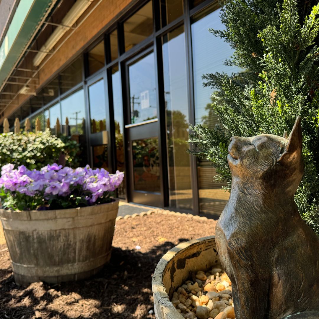 Old Dominion Animal Health Center Building Garden