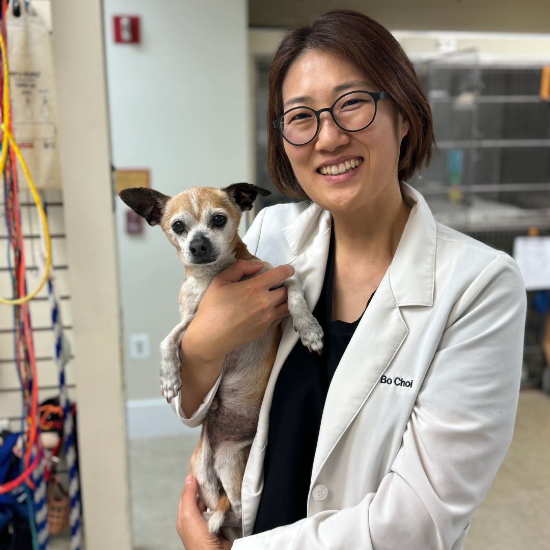 Dr. Choi holding a dog