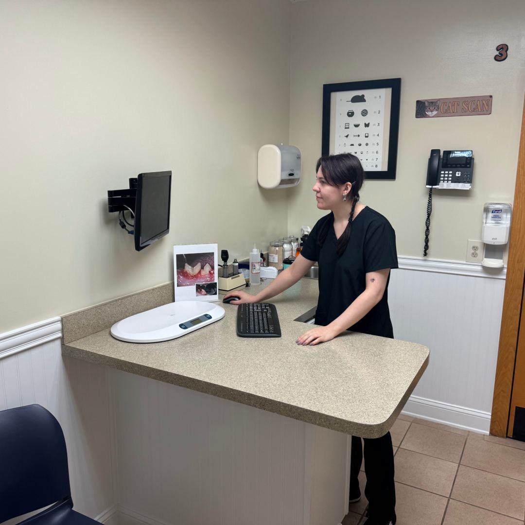 Sophie standing at a desk in an office