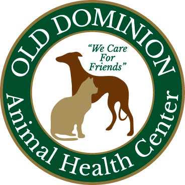 Old Dominion Animal Health Center favicon