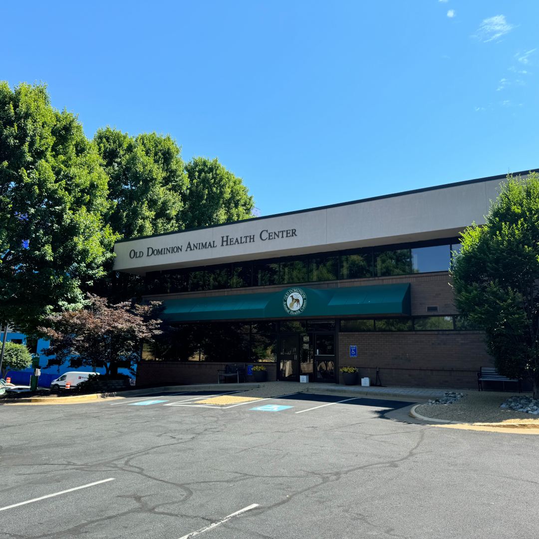 Old Dominion Animal Health Center Building