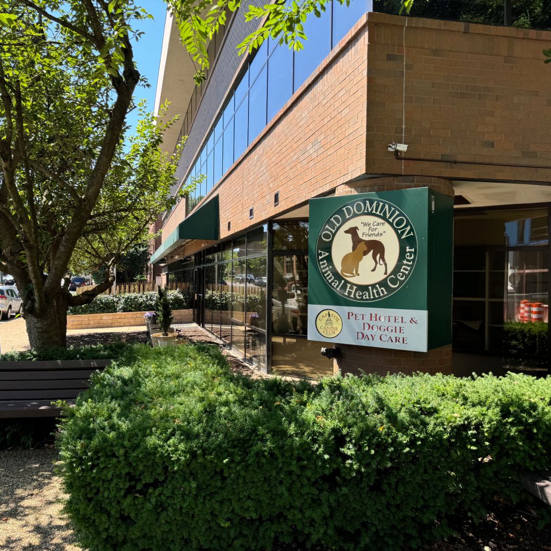 Old Dominion Animal Health Center Building